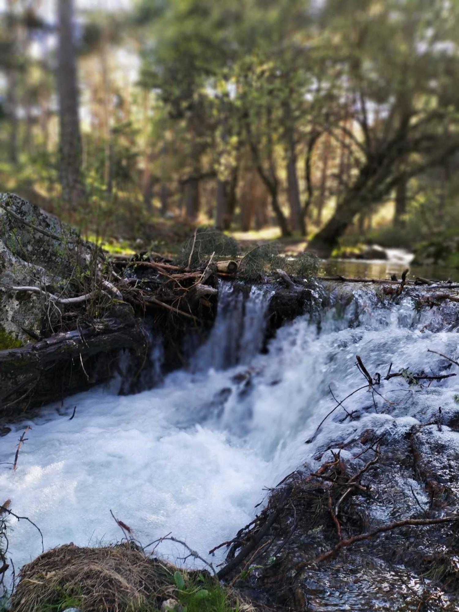 Alojamiento Rural El Petirrojo Cerceda  Exteriér fotografie